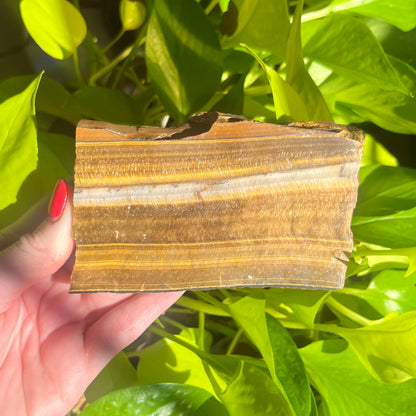 Tiger Eye Slab