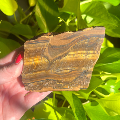Tiger Eye Slab