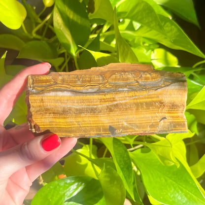 Tiger Eye Slab