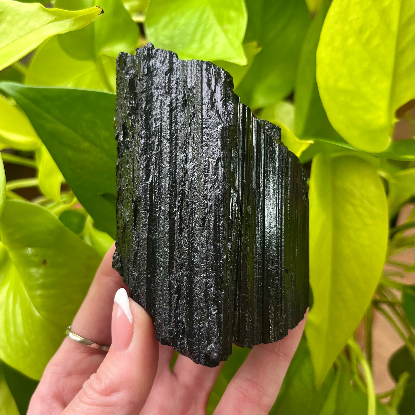 Large Black Tourmaline