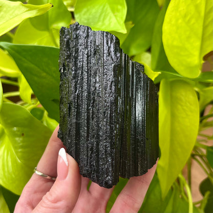 Large Black Tourmaline