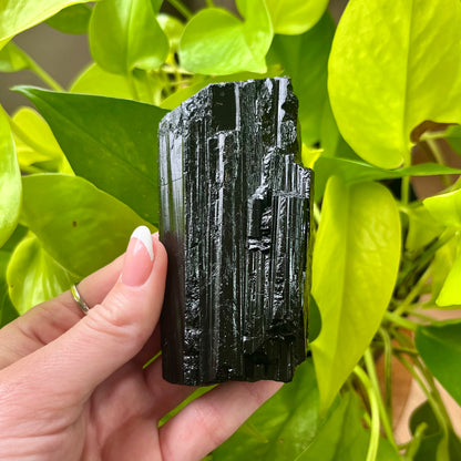 Large Black Tourmaline