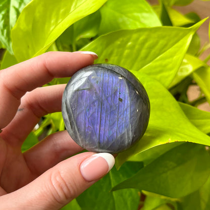 Labradorite Palm Stone