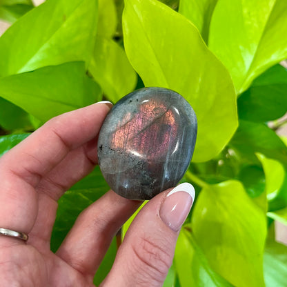 Labradorite Palm Stone