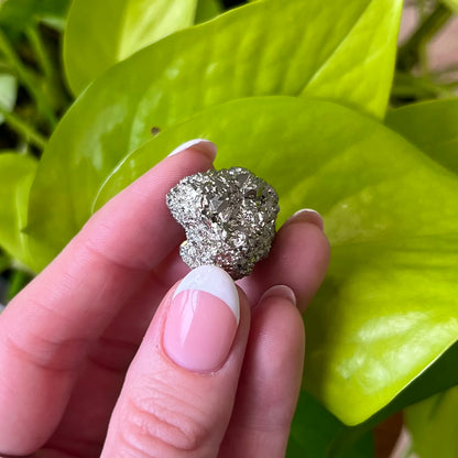Small Pyrite Specimen