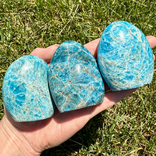 Blue Apatite Free Form