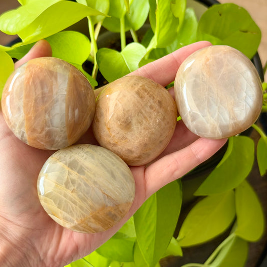 Mixed Moonstone Palm Stones
