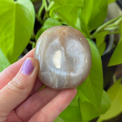 Mixed Moonstone Palm Stones