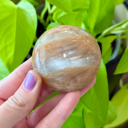 Mixed Moonstone Palm Stones