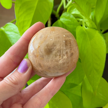 Mixed Moonstone Palm Stones