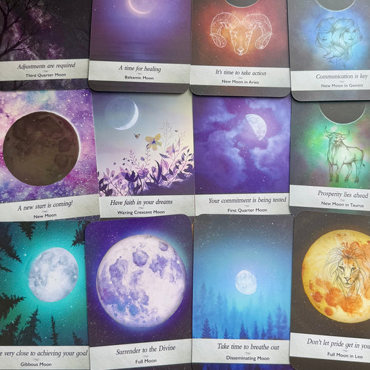 Guided Mystery Box