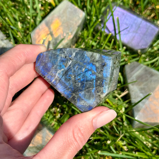 Labradorite Multi Flash High Quality Free Form Gusher